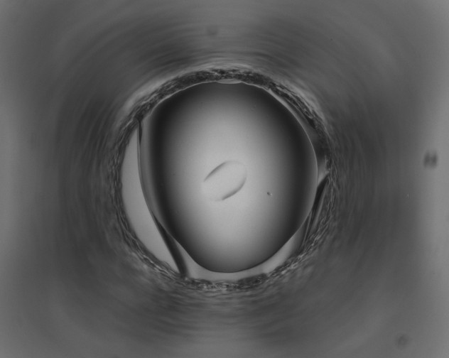 X0000094910920200711291251