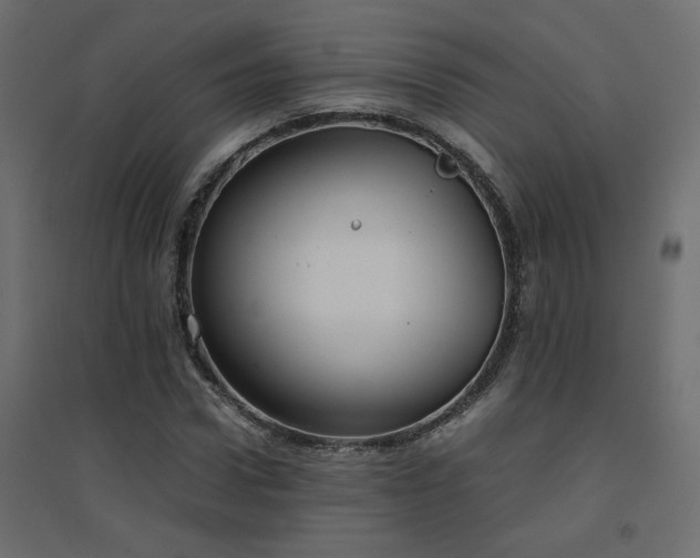 X0000094910922200711291252