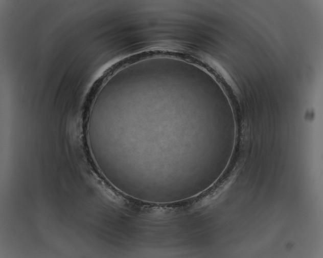 X0000094910923200711291252