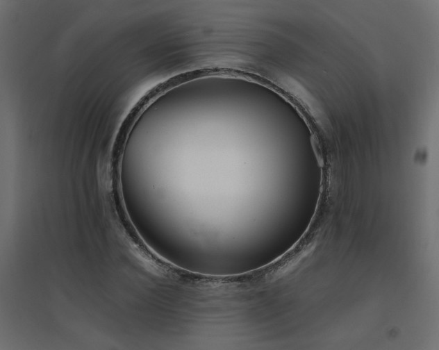 X0000094910924200711291252