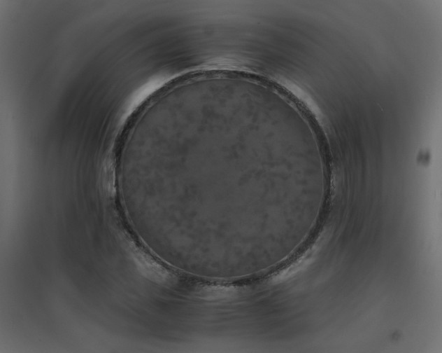 X0000094910925200711291252