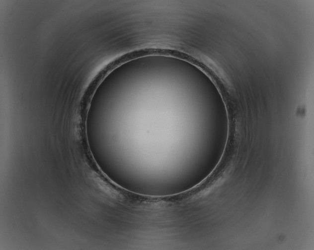 X0000094910926200711291252