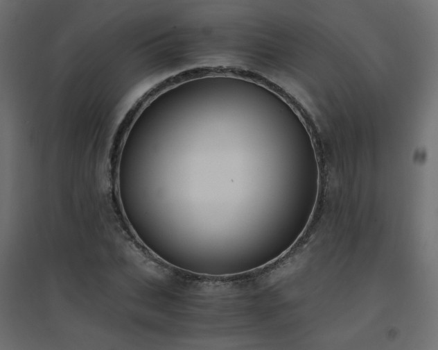 X0000094910927200711291252