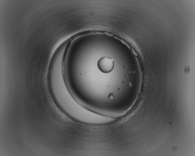 X0000094910928200711291252
