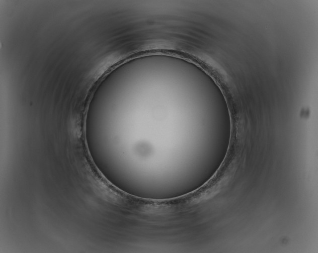X0000094910929200711291252