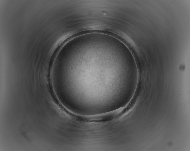 X0000094910930200711291252