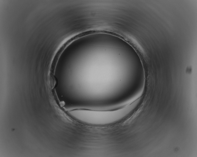 X0000094910932200711291252