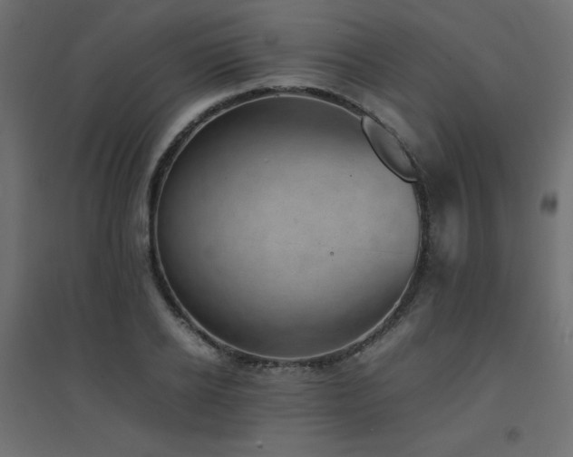 X0000094910934200711291252