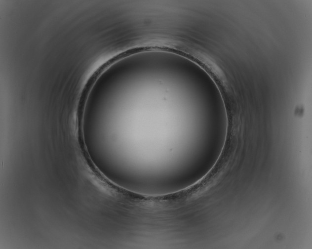 X0000094910936200711291252