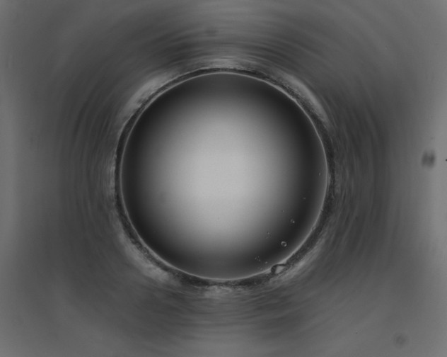 X0000094910938200711291252