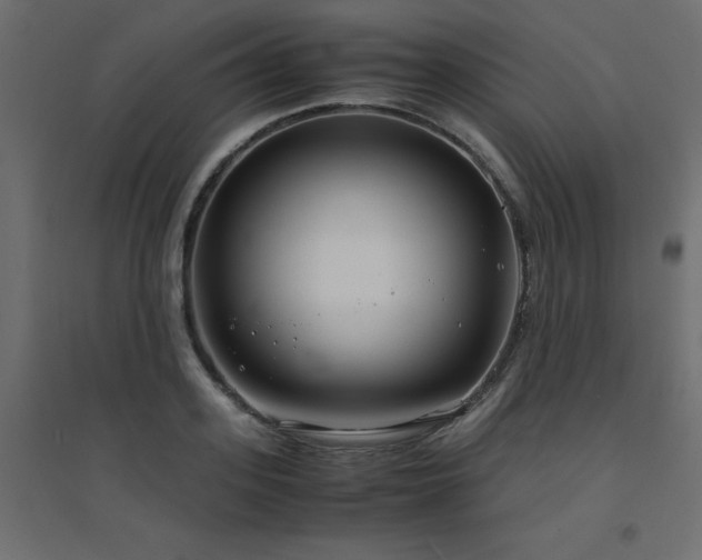 X0000094910939200711291252