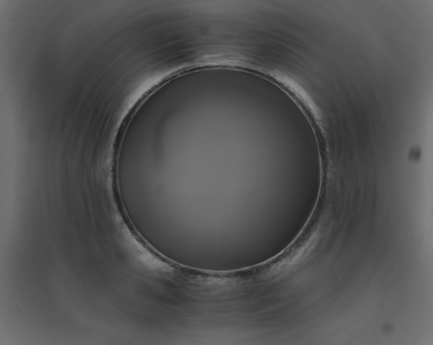 X0000094910941200711291252