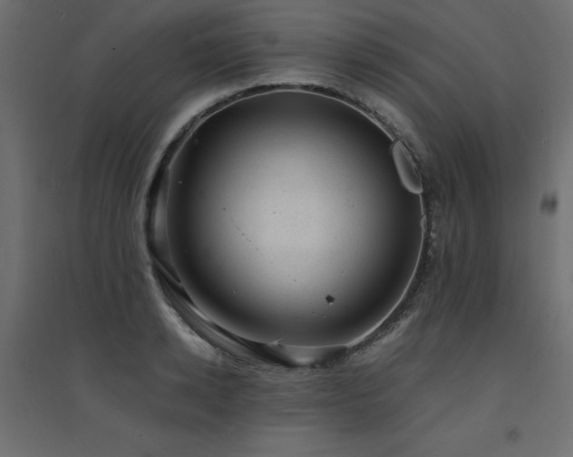 X0000094910942200711291252