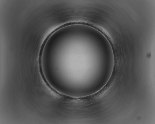 X0000094910943200711291252