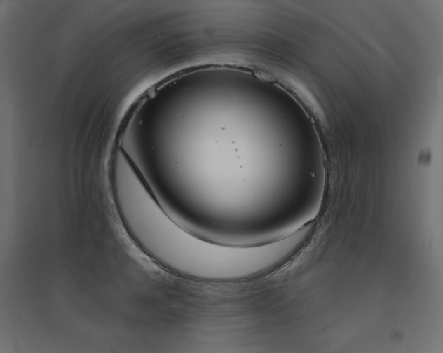 X0000094910944200711291252