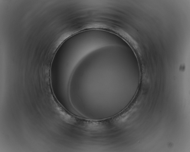 X0000094910945200711291252