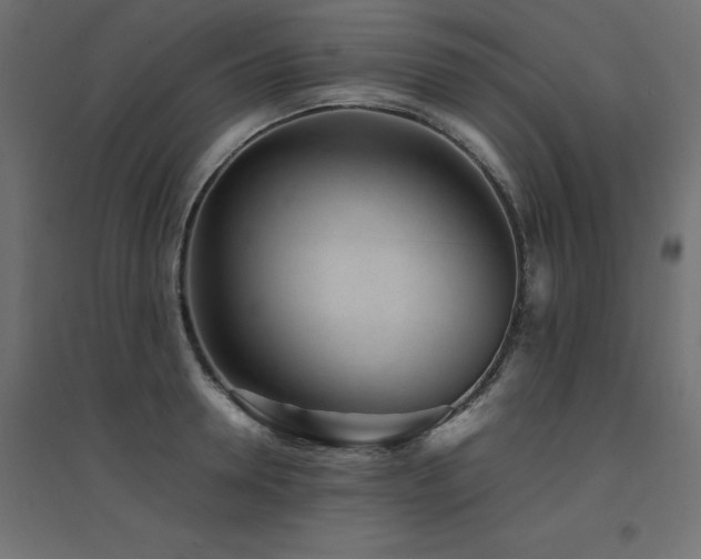 X0000094910946200711291252
