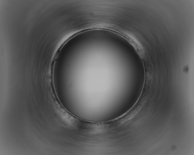 X0000094910948200711291252