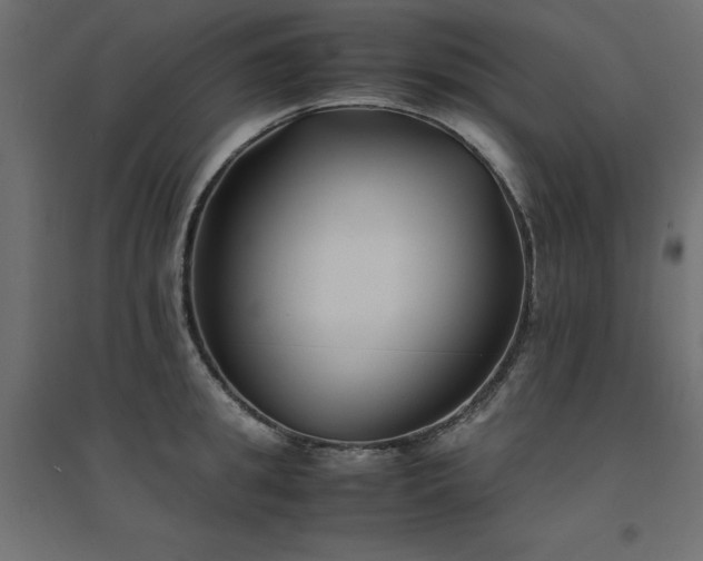 X0000094910949200711291252