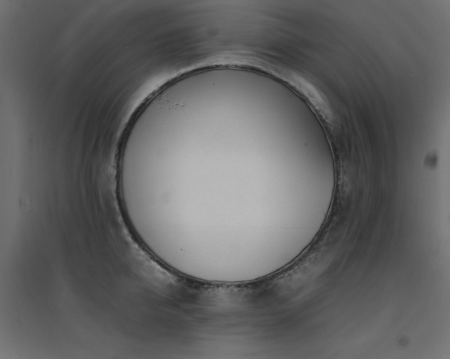 X0000094910950200711291252