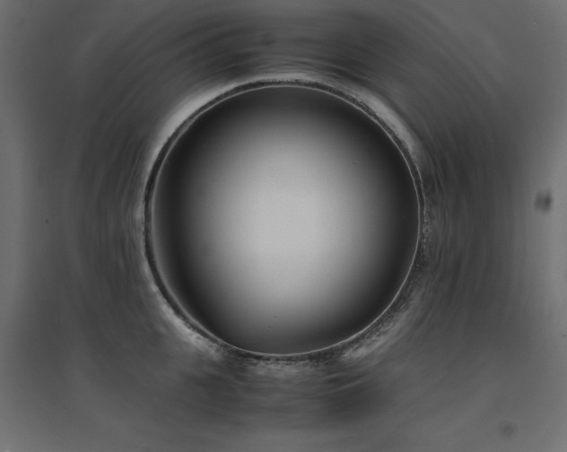 X0000094910951200711291252