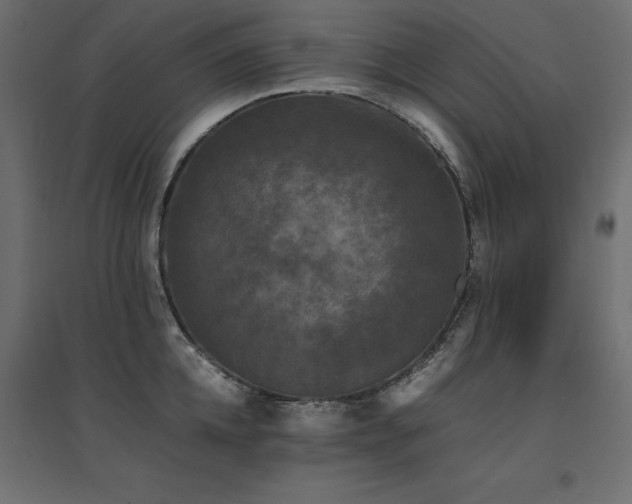 X0000094910952200711291252