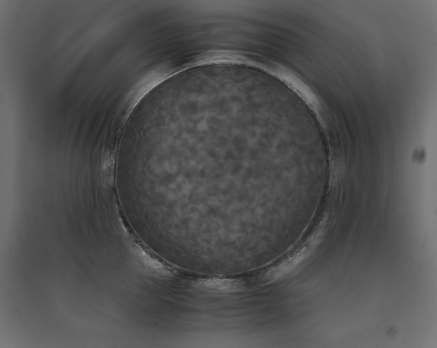X0000094910953200711291252