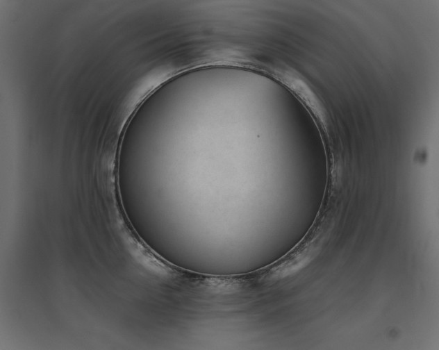 X0000094910954200711291252