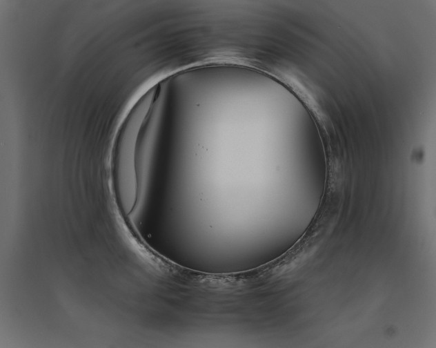 X0000094910955200711291252