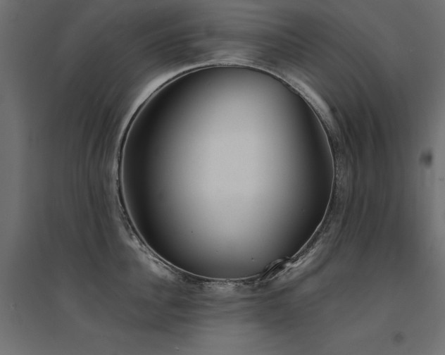 X0000094910956200711291252