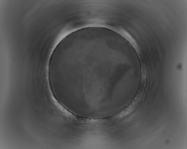 X0000094910958200711291252