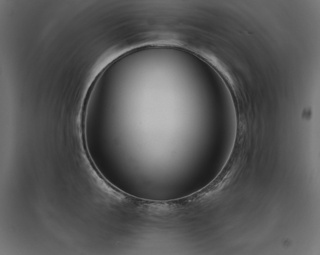 X0000094910959200711291252