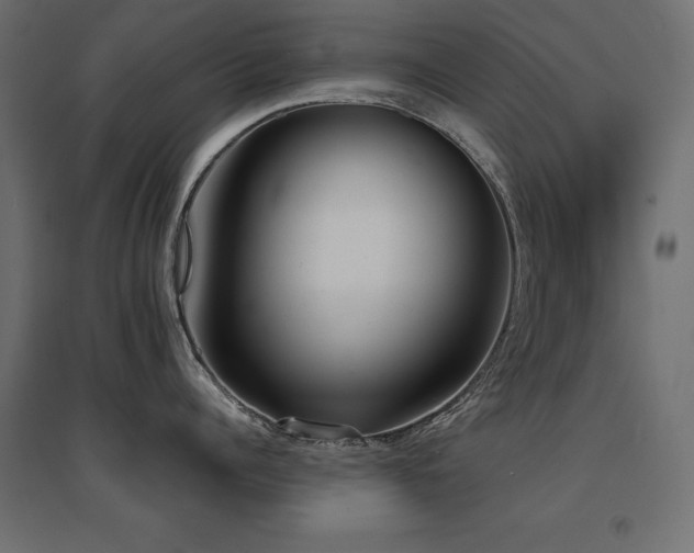X0000094910960200711291252