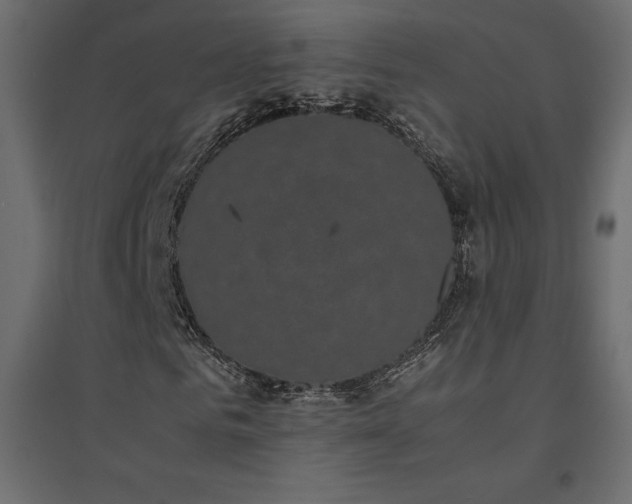 X0000094910961200711291251