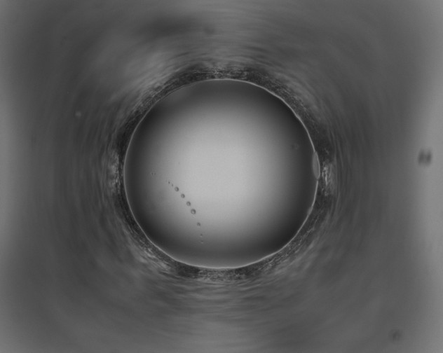 X0000094910963200711291251