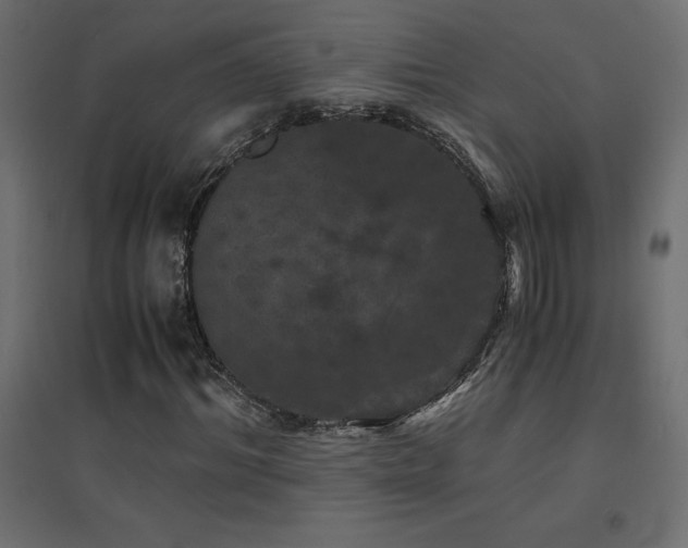 X0000094910964200711291251