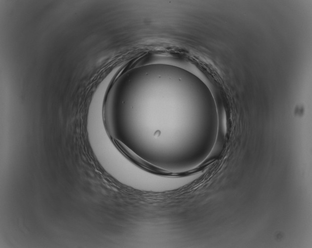 X0000094910965200711291251