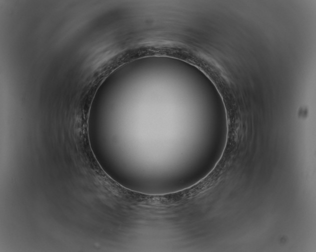 X0000094910966200711291251