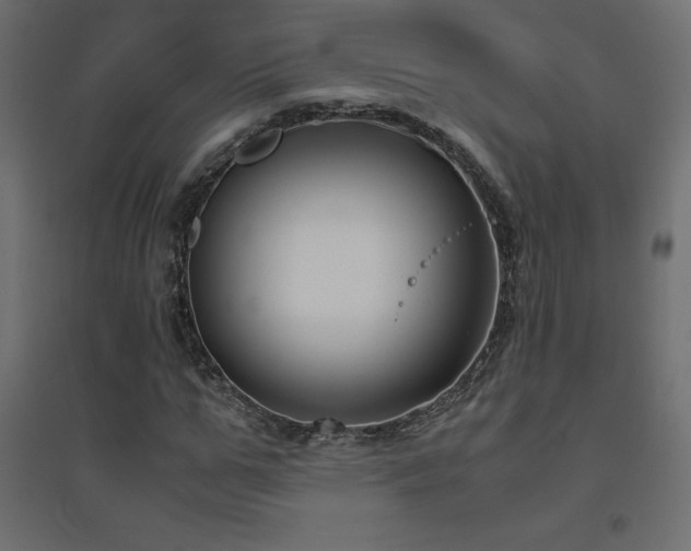 X0000094910967200711291251