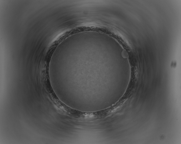 X0000094910968200711291251