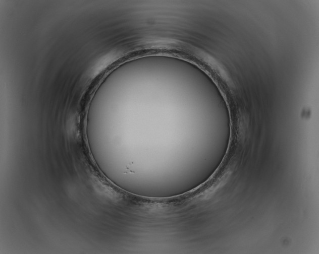 X0000094910970200711291251