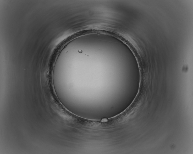 X0000094910971200711291251