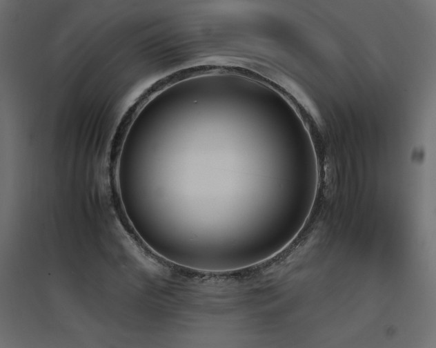 X0000094910972200711291251