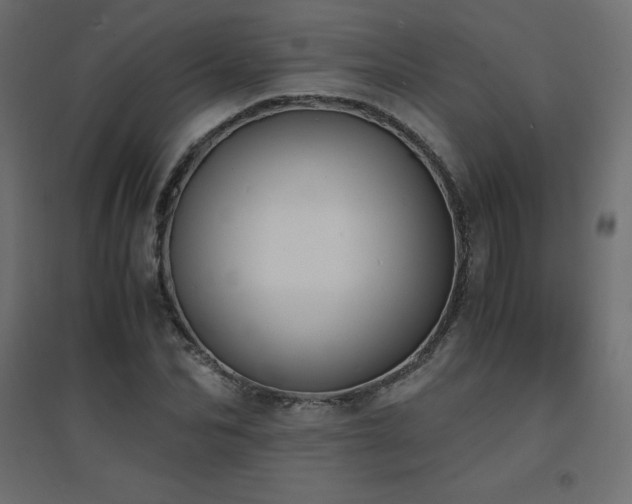 X0000094910974200711291251