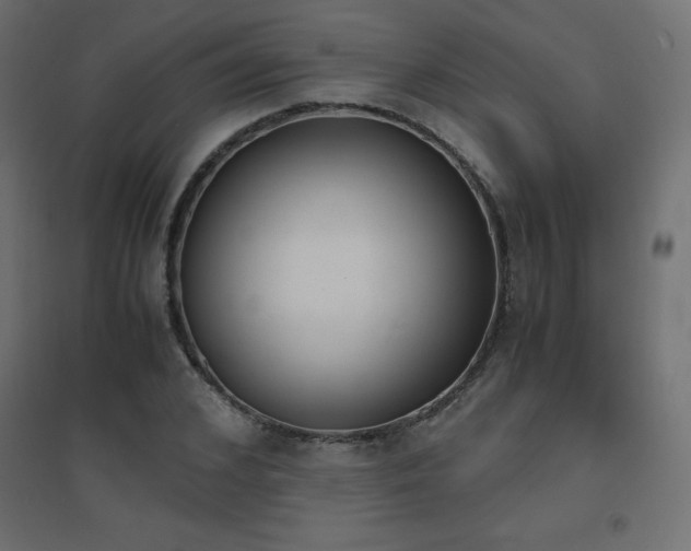 X0000094910976200711291251