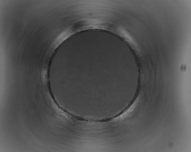 X0000094910977200711291251