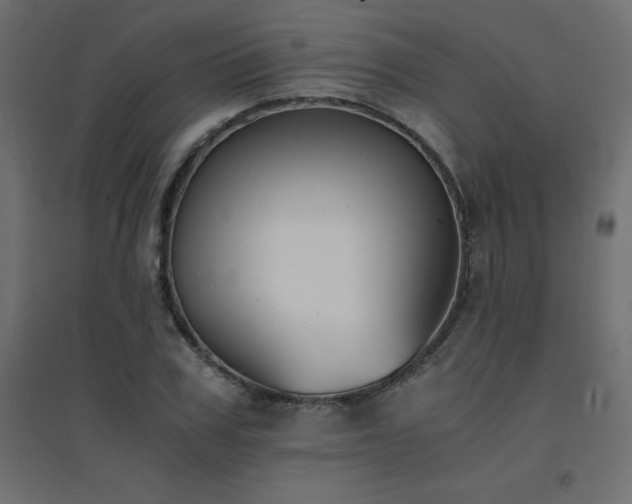 X0000094910979200711291251