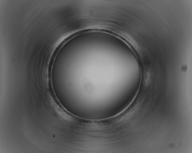 X0000094910980200711291251