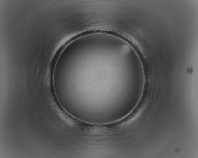 X0000094910981200711291251