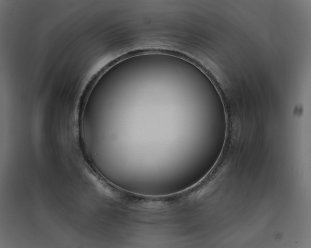 X0000094910982200711291251